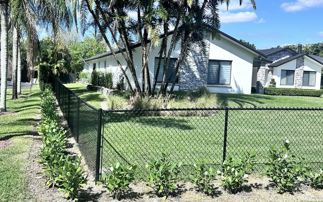 Black Vinyl Chainlink Fence in Davie